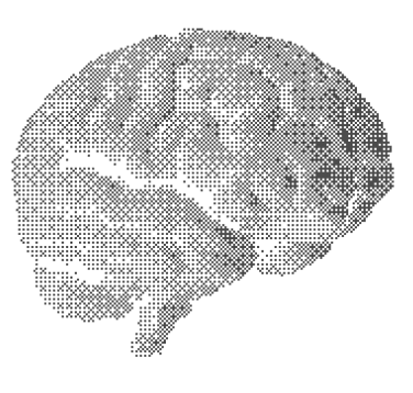 A brain